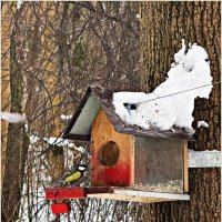 У кормушки. :: Валерия Комова У кормушки. :: Валерия Комова