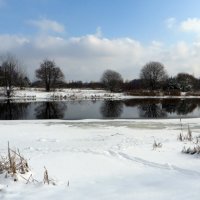 Зимний солнечный день :: Ирина Олехнович Зимний солнечный день :: Ирина Олехнович