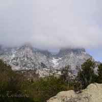 Природа Крыма :: Amazing Cosmea