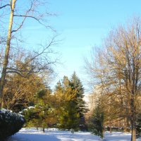 Зимний пейзаж :: Валентин Семчишин Зимний пейзаж :: Валентин Семчишин