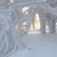 Иней у реки :: Марина Фомина.