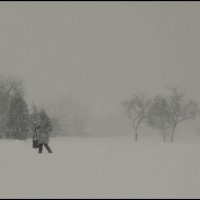 *** :: Aleksandr Gal *** :: Aleksandr Gal