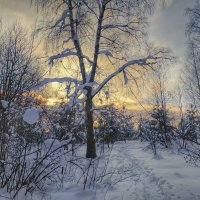 зимняя прогулка :: Валентина. .