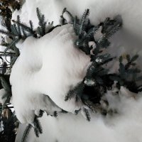 Вот так и живем :: Андрей Лукьянов