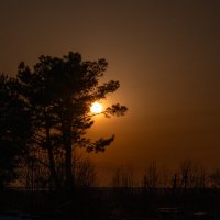 4 :: Сергей Флетчер