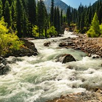 ТАЛГАР :: HART BAD