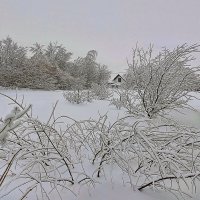 Морозное утро в деревне :: Игорь Сычёв