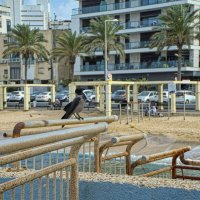 Я   Орёл :: ujgcvbif 