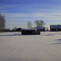 Январьские фотозарисовки .. :: Татьян@ Ивановна