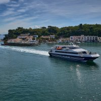 Сюда - туда... :: Dmitriy Dikikh