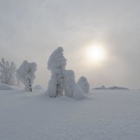 Туманный полдень :: Сергей Герасимов