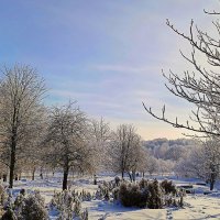 Солнечный день в парке :: Игорь Сычёв