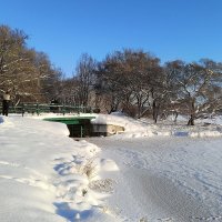 Прогулка по январю :: Мария Васильева