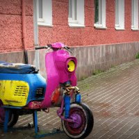 Косит желтым глазом :: emaslenova 