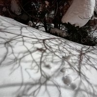 Зимние узоры :: Татьяна Тюменка