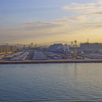 На экспорт. :: Сергей Фомичев