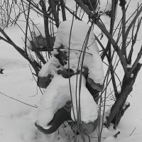 Игрушечное одиночество :: Игорь Солдаткин