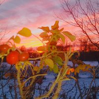 На закате :: Сергей Кочнев На закате :: Сергей Кочнев