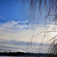 Озерная тропинка. :: Игорь Сычёв