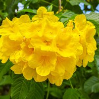 * :: Dmitry i Mary S