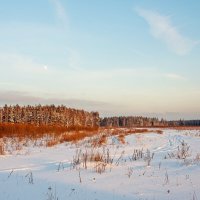 Январский пейзаж :: Валерий Иванович