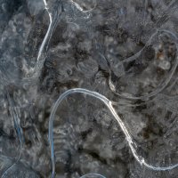 Рисунки льда :: Referee (Дмитрий)