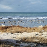 Каспий :: Анатолий Чикчирный