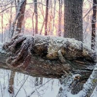 Зимний лес всегда полон неожиданностей... :: Андрей Заломленков