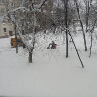 В конце января :: Елена Семигина В конце января :: Елена Семигина