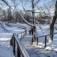 В Воронцовском парке :: Владимир Езеров В Воронцовском парке :: Владимир Езеров