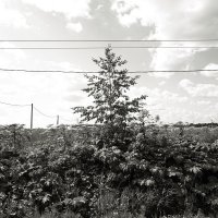 фотография :: Денис Безногов