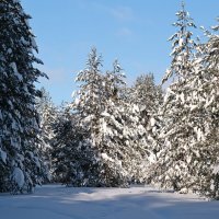 Зимушка зима ... :: Андрей Зайцев Зимушка зима ... :: Андрей Зайцев