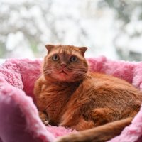 Чита :: Вадим 