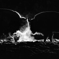 I'll Meet You at Midnight (Я встречу тебя в полночь) :: Дмитрий Шишкин