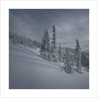 * :: Александр Иванов