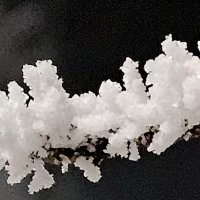 Мороз и иней :: Михаил Свиденцов