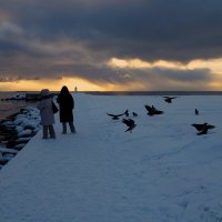 Люди,птицы и закат... :: Sergey Gordoff