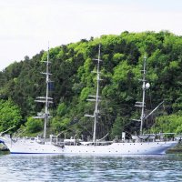 Белоснежный :: В.И 