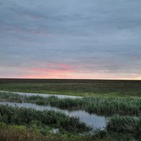 Осеннее утро на пруду... :: Надежда Куркина 