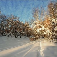 По январской тропе :: Валентин Котляров По январской тропе :: Валентин Котляров