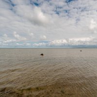 Балтийское море... :: Николай Гирш