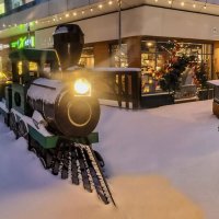 Сегодня снег - значит зима (30.01 2026 г.) :: Татьяна Машошина