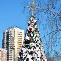 Провожаем праздничный Январь. :: Татьяна Помогалова