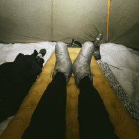 Зимний сон :: Георгиевич 