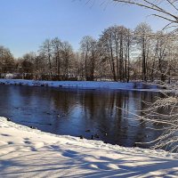 Зима :: Игорь Сычёв