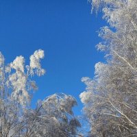 Дорога к озеру :: Игорь Сычёв