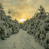 Тропою света.... :: Александр Филатов Тропою света.... :: Александр Филатов