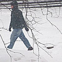 Йетти- снежный человек! Фотошутка. :: Владимир 