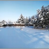 Мороз и солнце :: Ольга Довженко