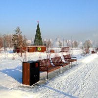 Арена парк в январе :: Татьяна Лютаева